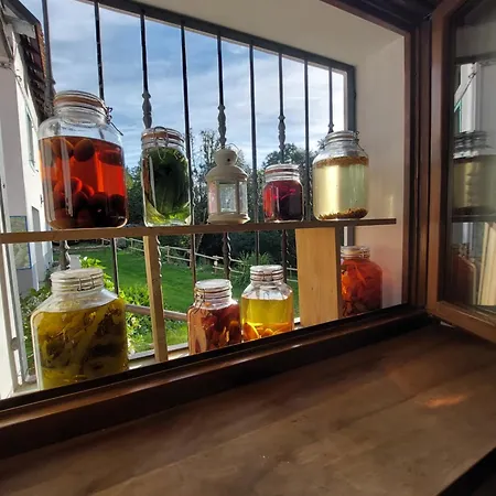 Hotel Rifugio Fornas Tolmezzo