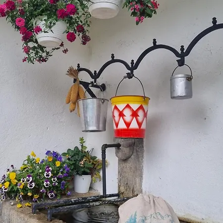 Rifugio Fornas Hotell *